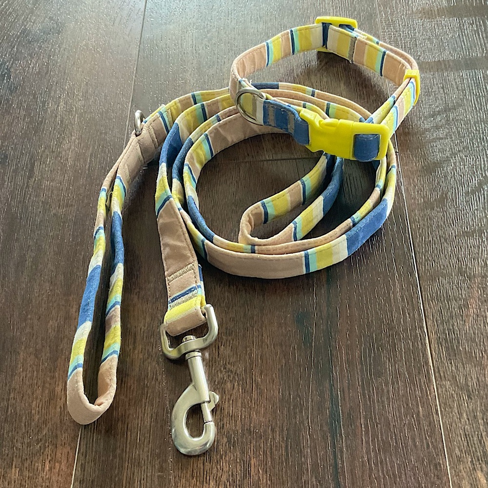 Adjustable Dog Collar and Leash Med